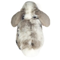 Teddy Hermann - Kanin dv&#230;rgv&#230;dder gr&#229;hvid plettet 23 cm