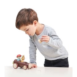 Tender Leaf - T&#248;mmertaxa