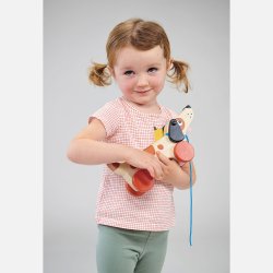 Mentari - Tr&#230;kleget&#248;j - Hundehvalp